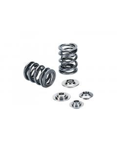 Supertech Nissan SKYLINE RB25 DOHC 24V (w/Solid Lifters) Dual Valve Spring Kit buy in USA