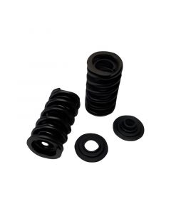 Brian Crower Dual Spring/Steel Retainer/Seat Kit - Yamaha YXZ / Sidewinder / Arctic Cat XX buy in USA