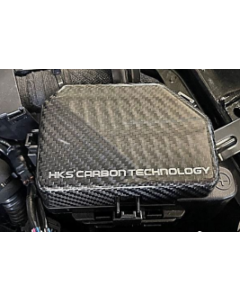 HKS 2023 Nissan Z Dry Carbon Fuse Box Cover buy in USA