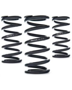 AST Linear Race Springs - 140mm Length x 100 N/mm Rate x 61mm ID - Single buy in USA