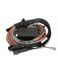 Haltech Universal Elite 2500/2500 T Premium Wire-In Harness buy in USA