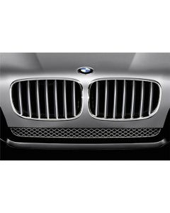 Genuine Front Left Kidney Grille Titanium 51 13 7 185 223 buy in USA