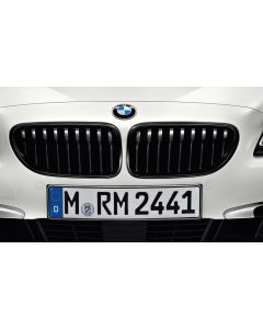 Genuine M Performance Front Left Grille Trim Gloss Black Finish 51 71 2 287 953 buy in USA