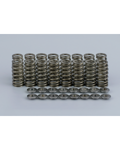 Loba Motorsport Valve Springs and Titanium Retainers set (20pcs) for VAG 5 Cyl 2.5 TFSi (7010250) buy in USA