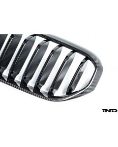 BMW M Performance Carbon Front Grille - G30 5-Series LCI buy in USA