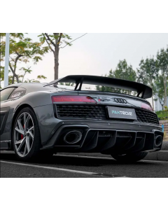 Audi R8 Artisan Packtekz Style Wing buy in USA