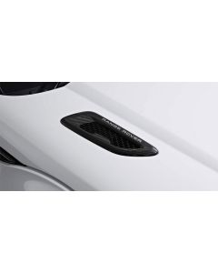 Range Rover Evoque - Carbon Fibre Bonnet Vents (pair) buy in USA