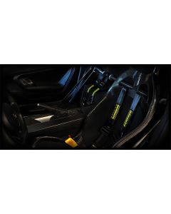 Lamborghini Gallardo - Tecnocraft T1 Four Point Harness Bar buy in USA