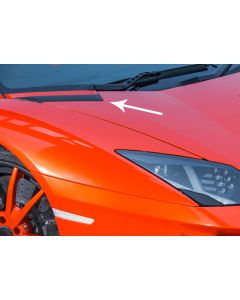 Lamborghini Aventador LP700-4 - DMC 'Molto Veloce' Carbon Fiber Bonnet Air Vent Outtakes buy in USA