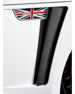 Jaguar F-Type 2013+ - STARTECH Carbon Fiber Fender Panels (pair) buy in USA