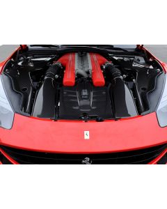 Ferrari F12 Berlinetta - DMC 'Spia' Carbon Fiber Engine Bay Refinement Kit buy in USA