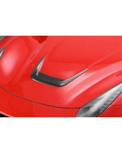 Ferrari F12 - Novitec Carbon Fibre Inset For Engine Bonnet (N-LARGO version) buy in USA