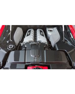 Audi R8 (2013+) - Carbon Fibre Air Box Covers (2 piece) buy in USA