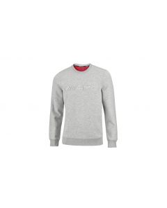 AMG sweatshirt, gray, B66958933 buy in USA