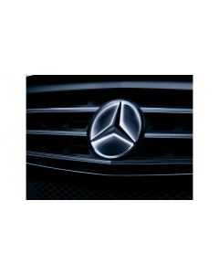 Mercedes star illuminated, decorative part, (e.g. GLC/ Sprinter/ GL-GLS), chrome, A1668177400 buy in USA