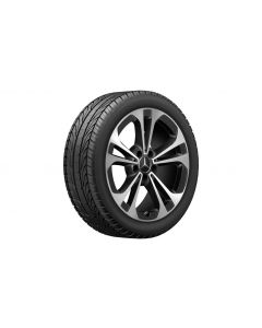 5-twin-spoke wheel, Aero, 45.7 cm (18-inch), high-sheen, C-Class, 225/45 R18/, black, A20640162007X23 buy in USA