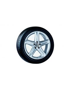 5-spoke wheel, Avior, 45.7 cm (18 inch), SL, 255/40 R18/, silver-colored, B66474060 buy in USA