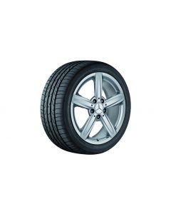 5-spoke wheel, Asaramas, 43.2 cm (17 inch), A-Class, 215/45 R17/, sterling silver, B66474512 buy in USA