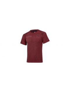 AMG mens functional shirt, red, B66959526 buy in USA