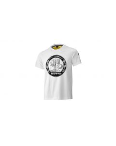 AMG T-shirt for men, white / yellow, B66959346 buy in USA