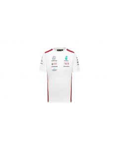 T-shirt men, Team, Mercedes-AMG F1, white, B67999799 buy in USA