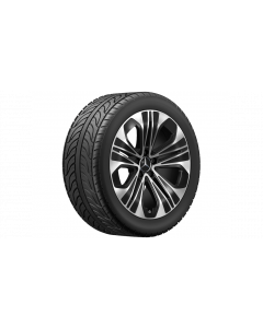 5-spoke wheel, Aero, 48.3 cm (19-inch), high-sheen, 275/40 R19/, black, A21440124007X23 buy in USA