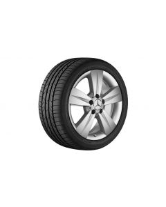 5-spoke wheel sterling silver, Continental, ContiWinterContact TS 830 P, 225/55 R17 101V XL, Winter, Q44018111018A buy in USA