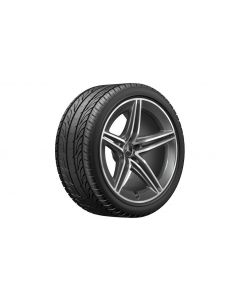 AMG 5-twin-spoke wheel, tantalum gray, Michelin, Pilot Alpin 5 MO1, 295/35 R20 105W XL, winter, Q440141511920 buy in USA