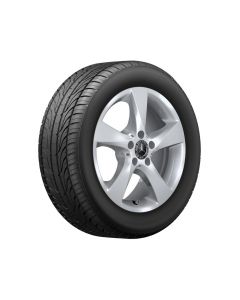 5-spoke wheel, vanadium silver, Goodyear, Efficient Grip Performance, 225/55 R17 101V XL, summer, Q4402914101100J2021 buy in USA