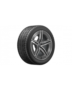 AMG light-alloy wheel, 5-twin-spoke design, 48.3 cm (19-inch), high-sheen, E-Class, 255/45 R19/, tantalum gray, A21440109007Y51 buy in USA