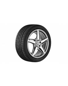 AMG 5-spoke wheel, titanium gray, Pirelli, W 270 SottoZero Series II MO, 265/35 R19 98W XL, winter, Q4401417119300J2022 buy in USA