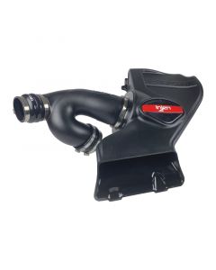 Injen 15-20 Ford F-150 V6-2.7L(tt) EcoBoost Evolution Intake buy in USA