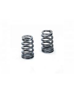 Supertech BMW S65/S84 Beehive Valve Spring - Set of 32 (Use w/Factory Retainer & Base) buy in USA