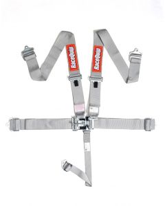 RaceQuip Platinum L & L 5pt Seat Belt buy in USA