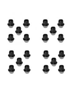 Ford Racing 15-18 Mustang Black Lug Nut Kit (20 Lug Nuts) buy in USA