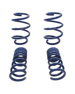 Ford Racing 2015-2017 Mustang GT350 Lowering Springs buy in USA