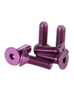 NRG Steering Wheel Screw Upgrade Kit (Conical) - Purple buy in USA