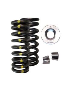 Brian Crower Honda L15B7 Spring & Steel Retainer Kit BC0088S buy in USA