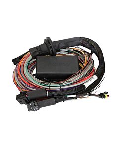 Haltech Elite 1500 8ft Premium Universal Wire-In Harness buy in USA