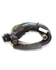 Haltech Elite 2500 8ft Basic Universal Wire-In Harness (Excl Relays or Fuses) buy in USA