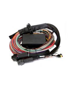 Haltech Elite 2500 & 2500 T 8ft Premium Universal Wire-In Harness buy in USA