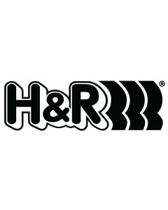 H&R 19mm Tapered M 14 X 1.5 Lug Nut buy in USA