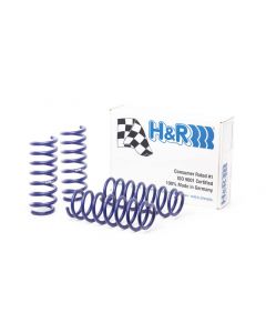 H&R 11-16 BMW 528i/535i F10 Sport Spring buy in USA