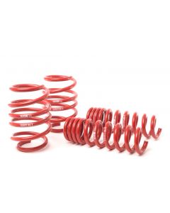 H&R 08-13 BMW M3 Coupe/M3 Sedan E92 Race Spring buy in USA