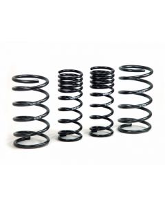 H&R 00-05 Ford Focus/Focus SVT DAW Sport Spring (Non Wagon) buy in USA