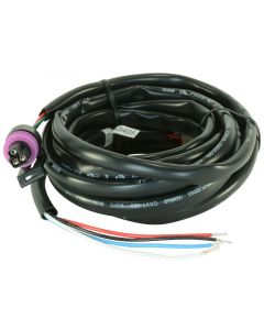 AEM Sensor Cable for Pressure Gauges ( 30-4401 / 30-4406 / 30-4408 / 30-4407 ) buy in USA