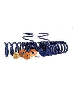 Ford Racing 15-22 Mustang Track Lowering Spring Kit buy in USA