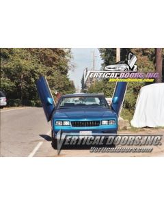 Vertical Doors Chevrolet Monte Carlo 1979-1988 buy in USA