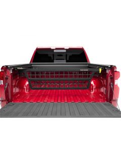 Roll-N-Lock 2019 Ram 1500 (Excluding RamBox Models) 5ft 6in Bed Cargo Manager buy in USA