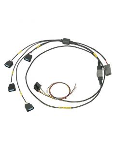 Rywire Hondata CPR Coil Harness (Hondata ECUs ONLY) buy in USA